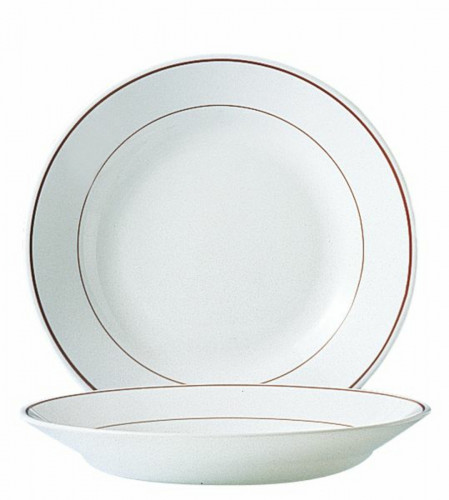 Assiette creuse rond blanc verre opal Ø 22,5 cm Restaurant Filet Bordeaux Arcoroc
