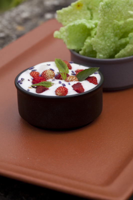 Assiette plate rectangulaire noir porcelaine vitrifiée 38,5x21 cm Neo Fusion Rak