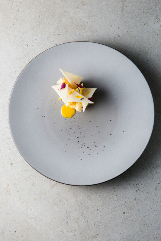 Assiette coupe plate rond gris porcelaine culinaire Ø 31,5 cm Equinoxe Revol