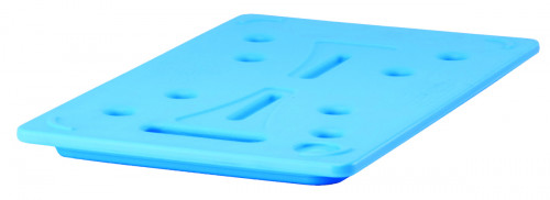 Plaque eutectique GN 1/2 plastique 32,5x26,5x3,8 cm Cambro