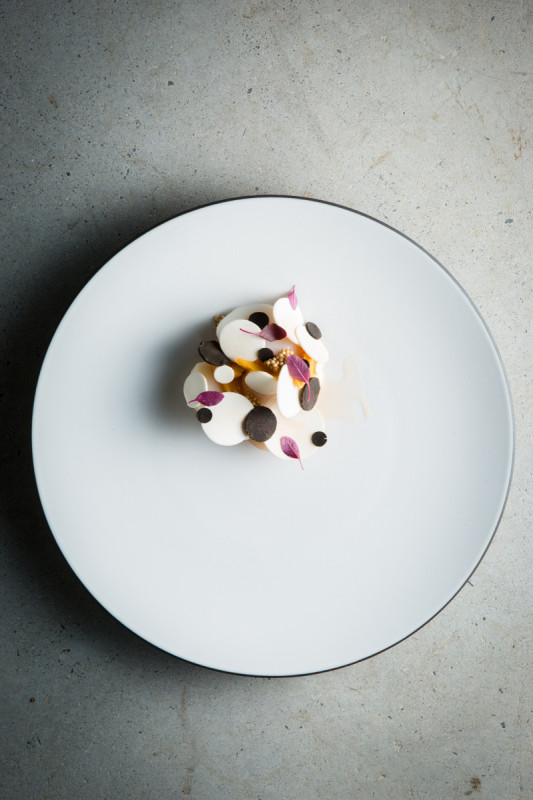 Assiette coupe plate rond blanc porcelaine culinaire Ø 21,5 cm Equinoxe Revol
