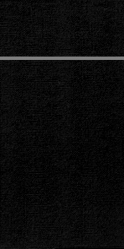 Pochette noir non tissé 24x10 cm Duniletto Duni (46 pièces)