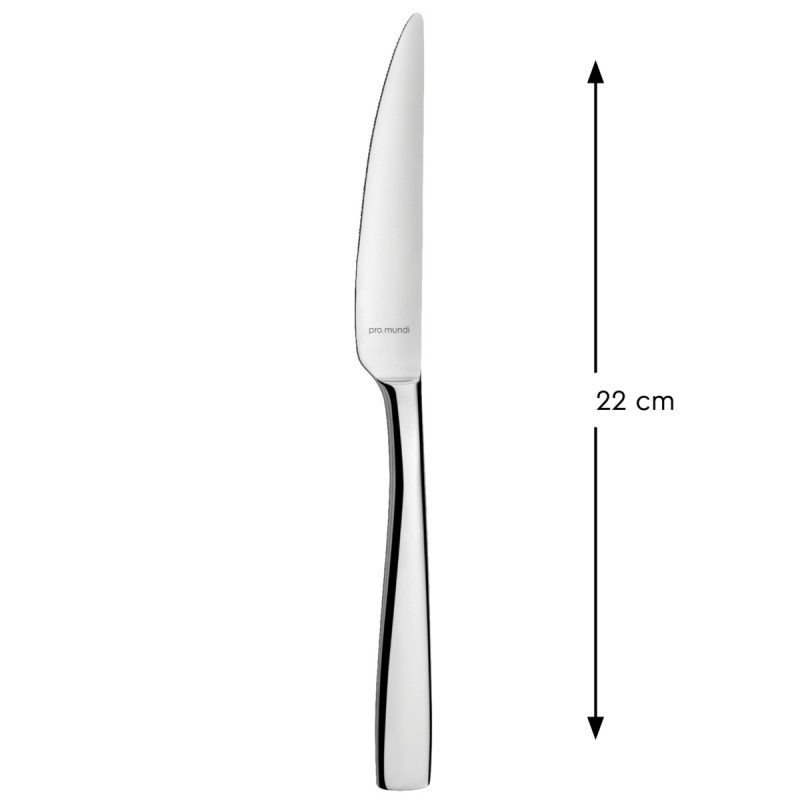 Couteau de table monobloc cranté 22 cm Odyssee Pro.mundi
